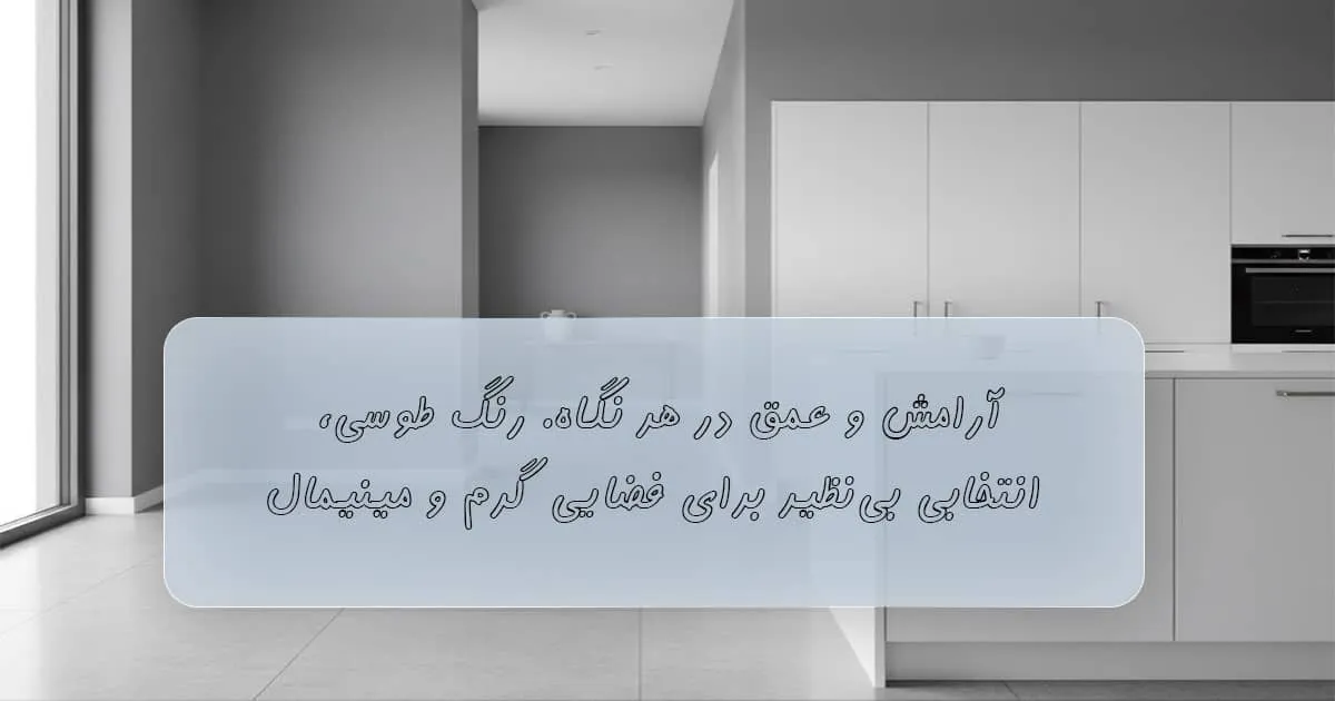 قیمت رنگ روغنی طوسی